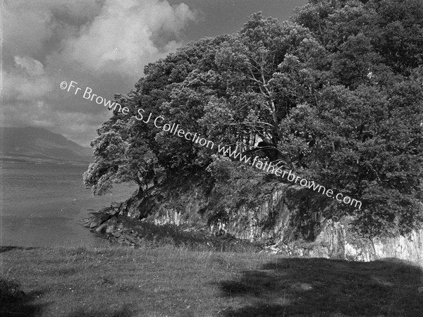 SITE OF DUNBOY CASTLE UNDER TREES